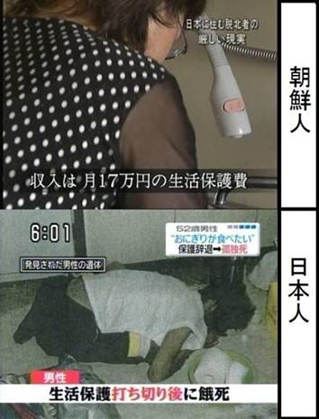 アップロードファイル 762-2.jpg